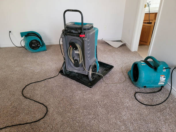 Best Carpet and Upholstery Water Damage Restoration in Dublin, PA